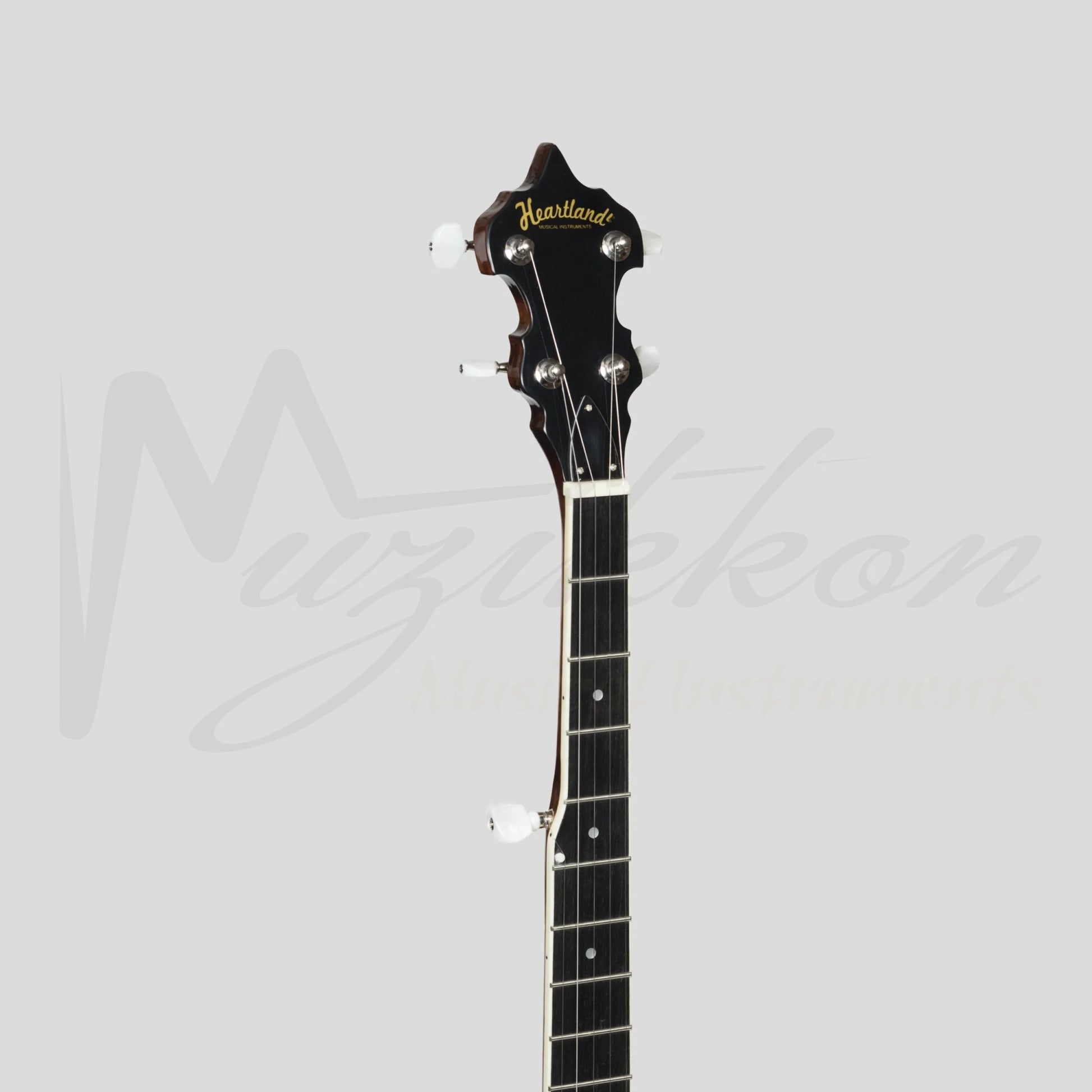 Heartland 5 String Irish Banjo 24 Bracket With Closed Solid Back And Geared 5Th Tuner