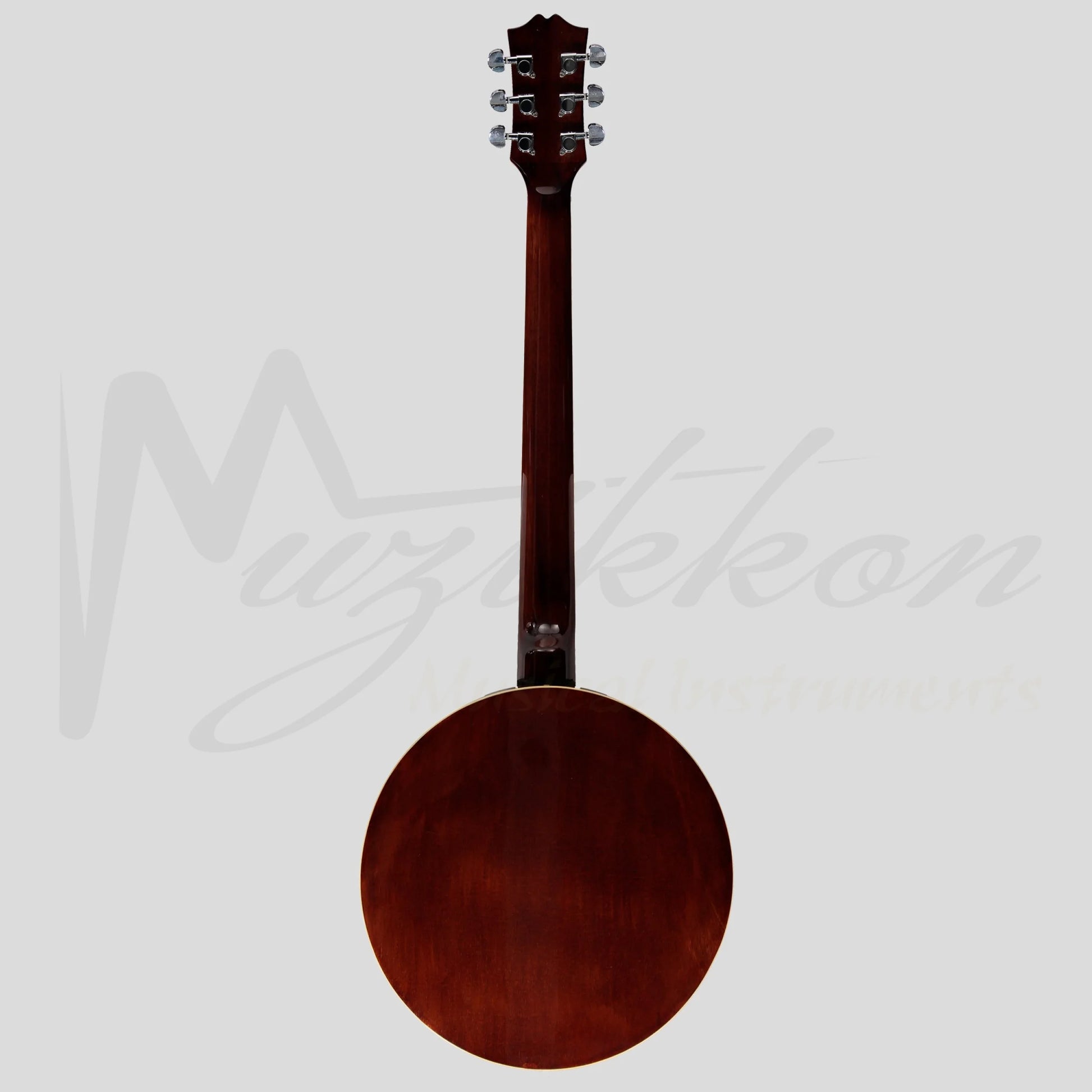 Heartland 6 String Guitar Banjo Solid Back Irish Banjo