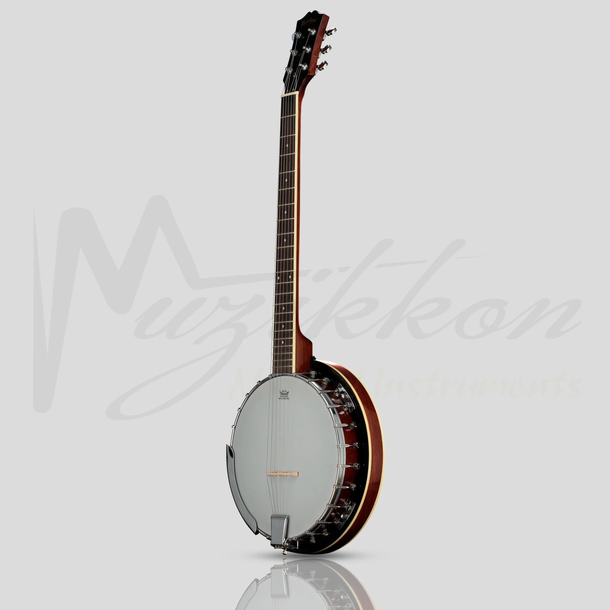 Heartland 6 String Guitar Banjo Solid Back Irish Banjo