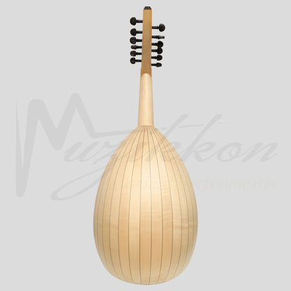 Heartland Arabic Oud 12 Strings Maple