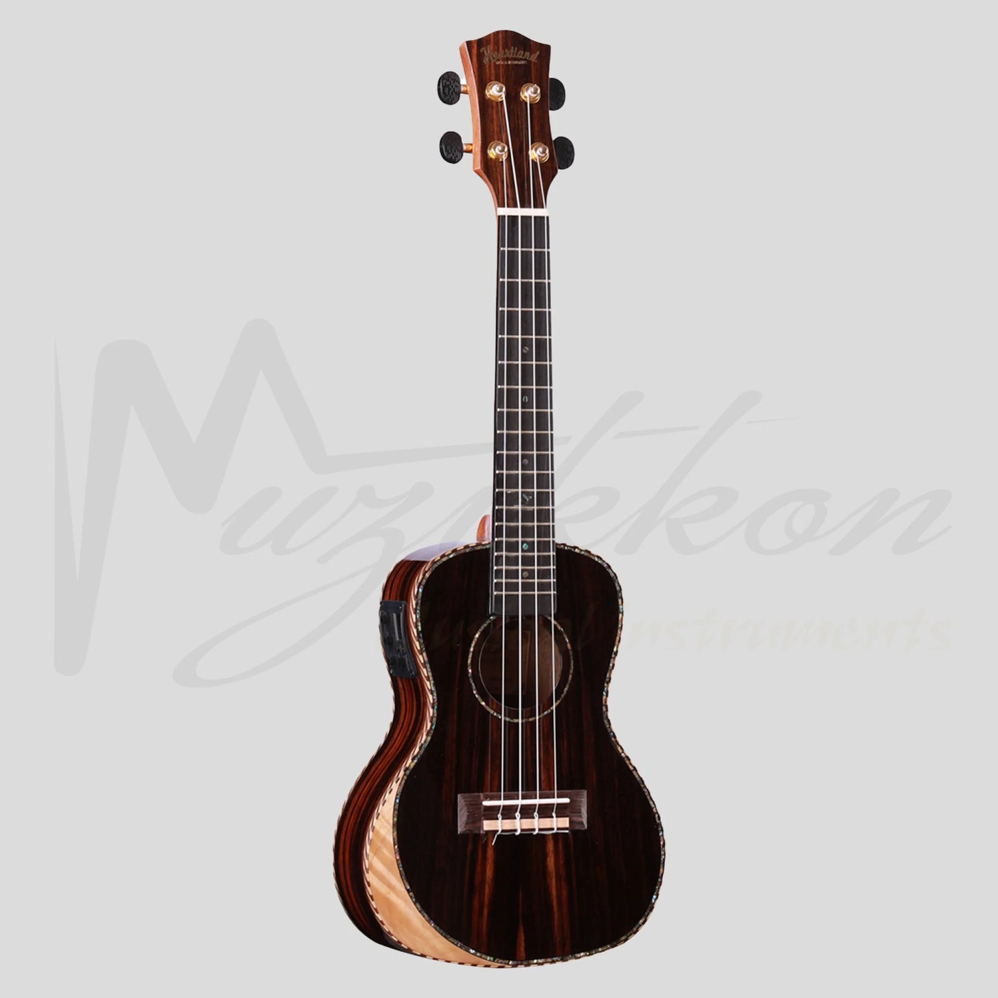 Heartland Concert Ukulele Ebony With Eq