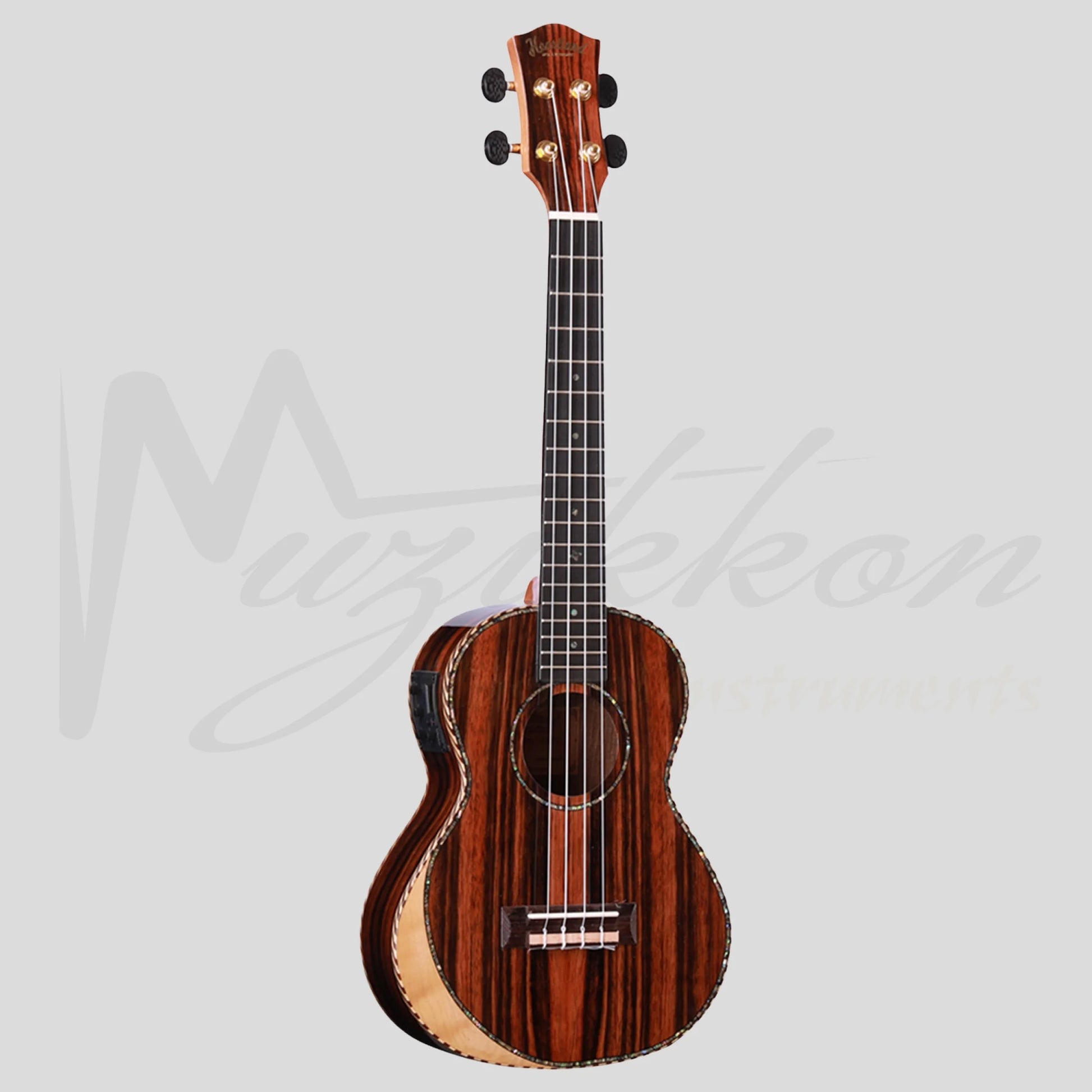 Heartland Tenor Ukulele Ebony With Eq