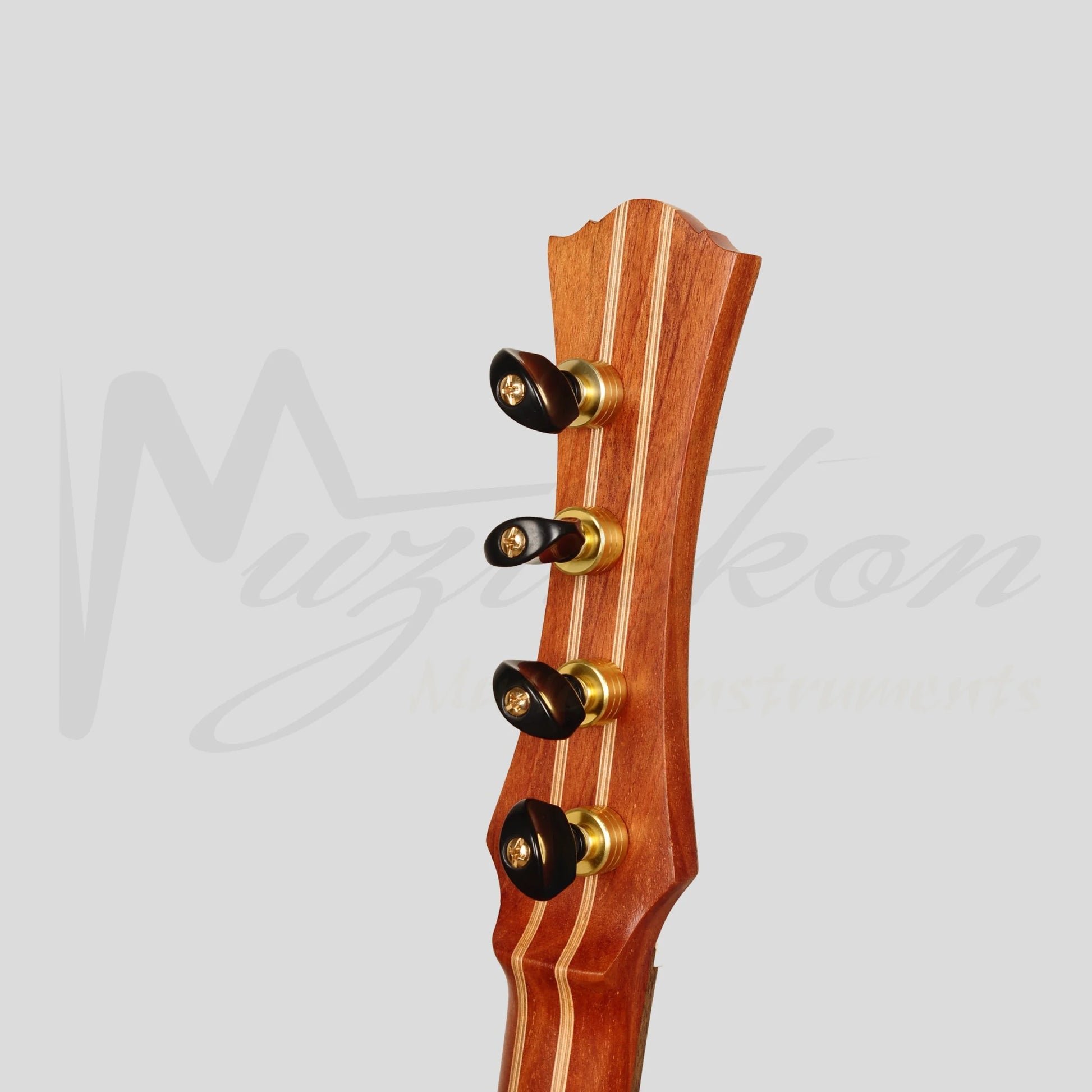 Heartland Trail Dulcimer Banjo 4 String Lacewood