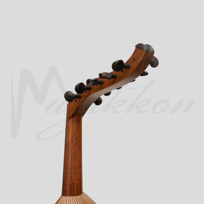 Heartland Turkish Oud 11 Strings Variegated Rosewood Walnut