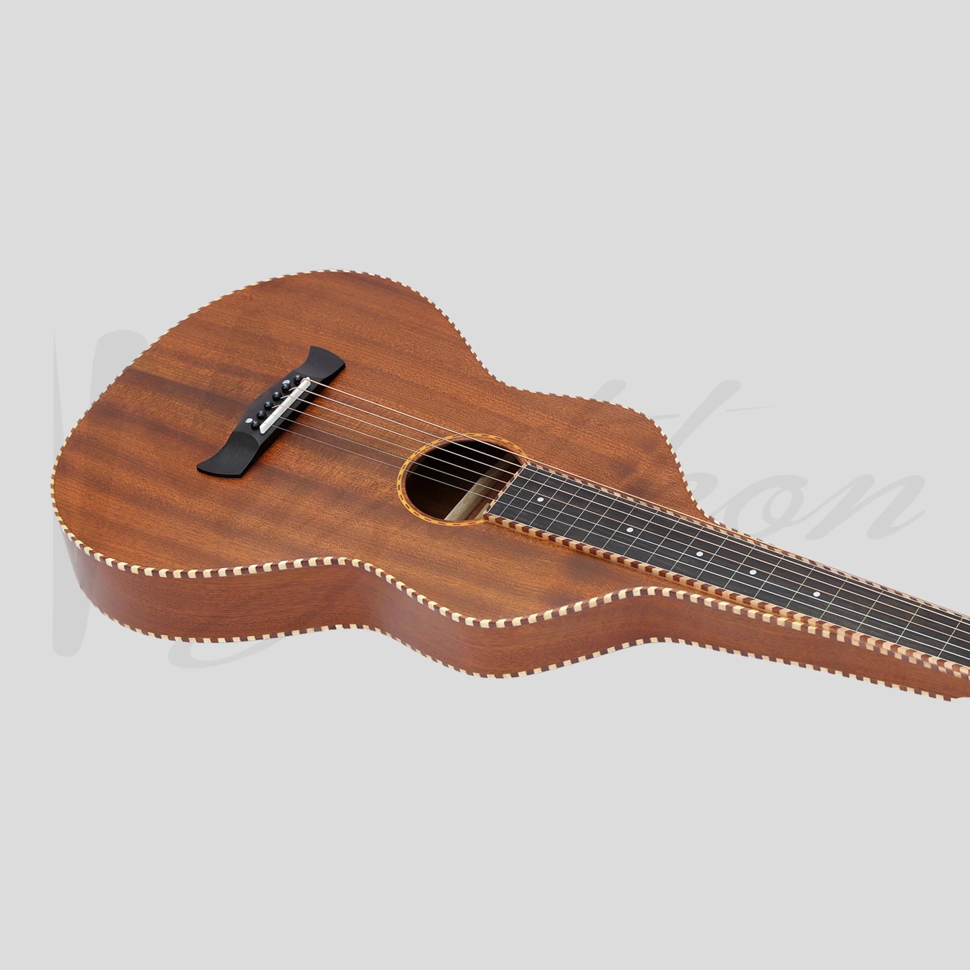 Heartland Weissenborn Guitar - The Stage Master