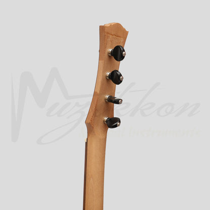 Heartland Wildwood Dulcimer Banjo 4 String Lacewood