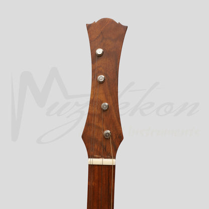 Heartland Wildwood Dulcimer Banjo 4 String Rosewood Left Hand