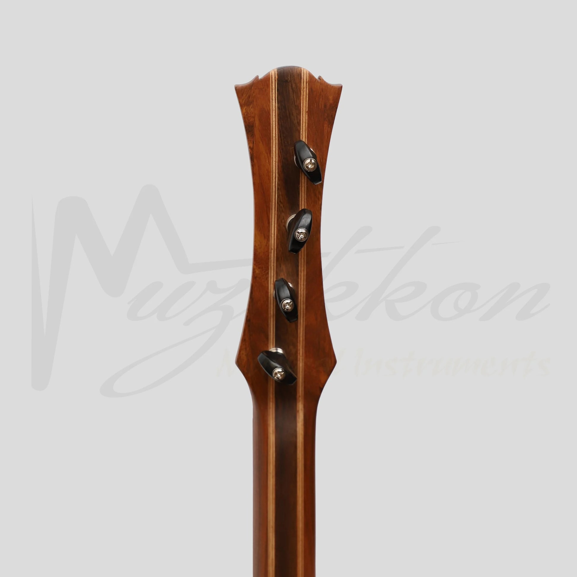 Heartland Wildwood Dulcimer Banjo 4 String Rosewood Left Hand