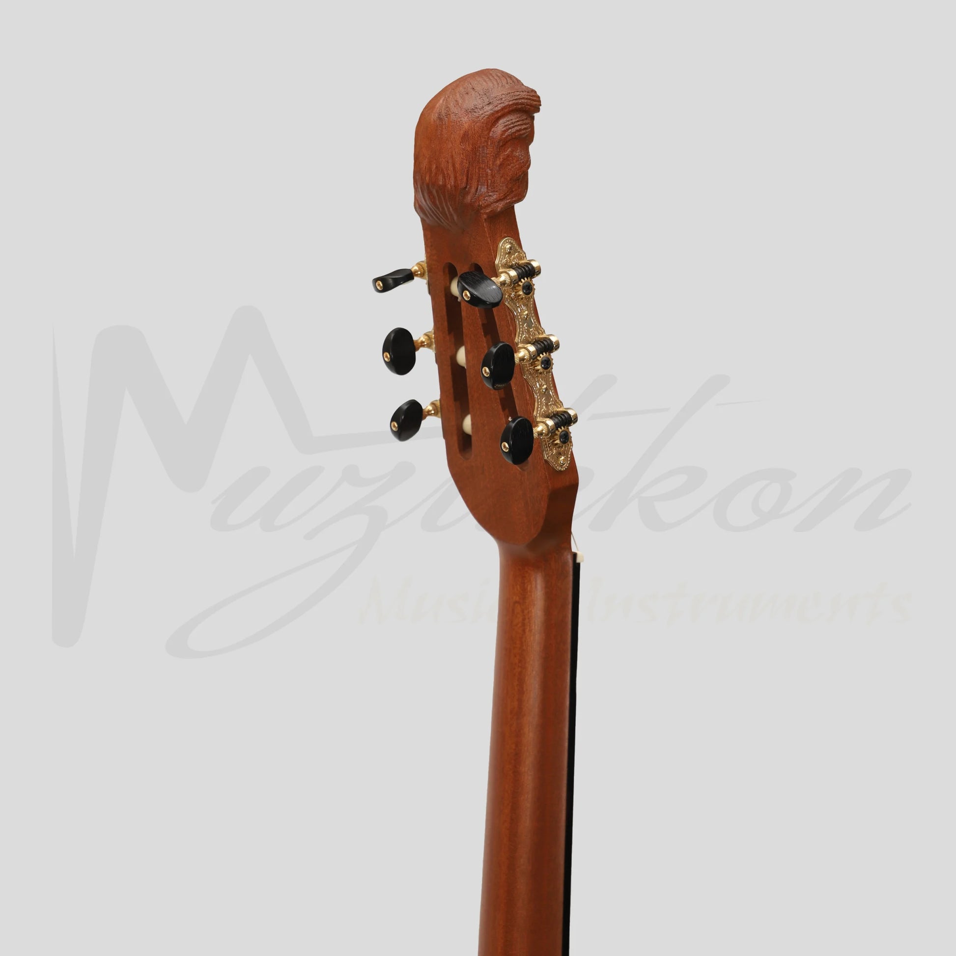 Lute Guitar 6 String Variegated Lacewood Rosewood
