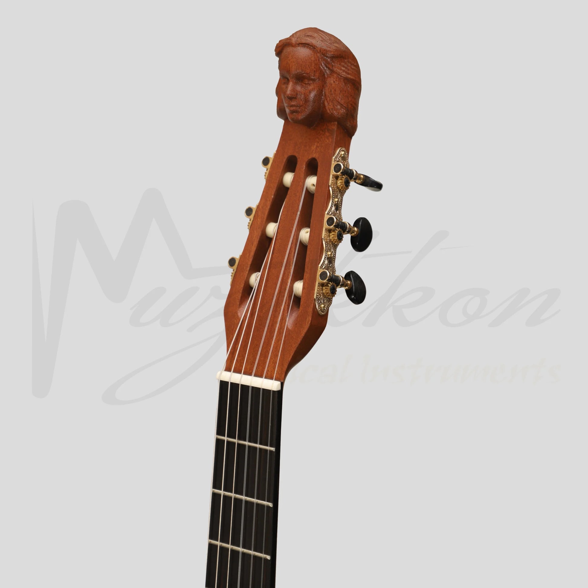 Lute Guitar 6 String Variegated Lacewood Rosewood