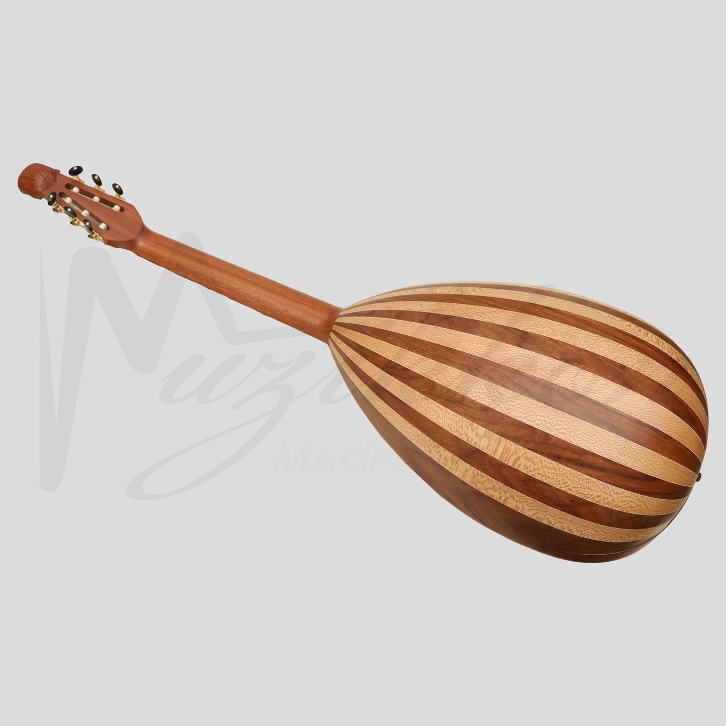 Lute Guitar 6 String Variegated Lacewood Rosewood