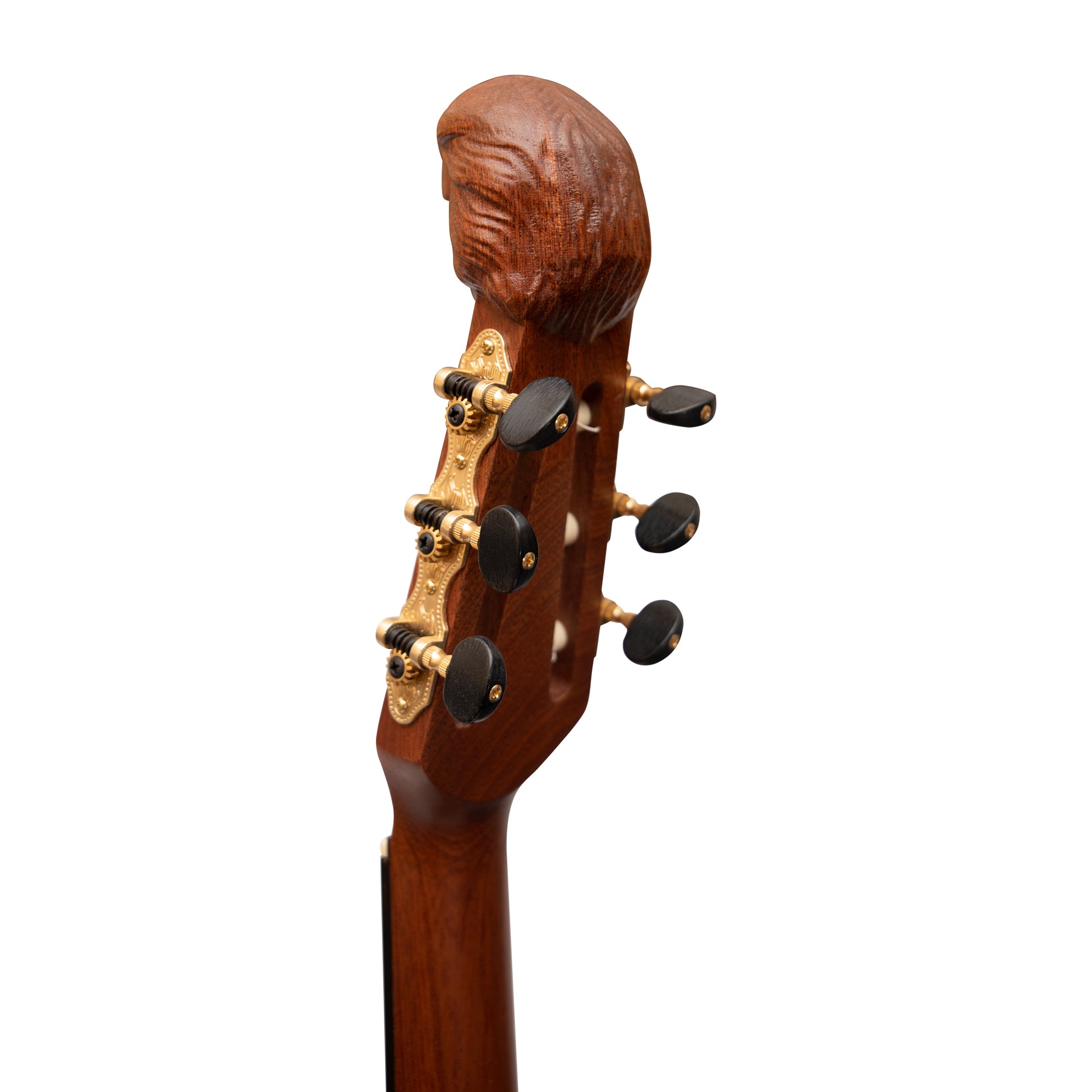 Lute Guitar, 6 String Variegated Lacewood Rosewood Muzikkon