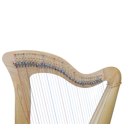 McHugh Harp 34 Strings Ashwood Round back