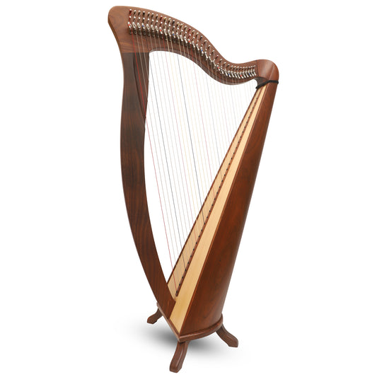 McHugh Harp 34 Corde Rosewood Round back