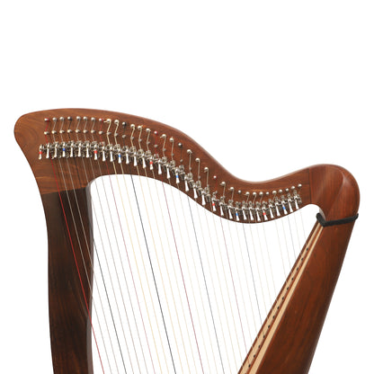 McHugh Harp 34 Strings Rosewood Round back