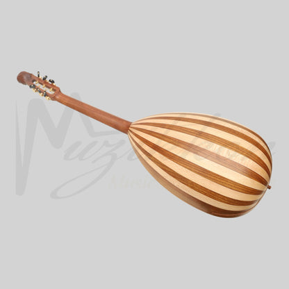 MUZIKKON LUTE GUITAR 6 STEEL STRINGS VARIEGATED LACEWOOD ROSEWOOD