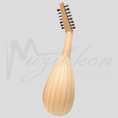 Muzikkon Travel Lute 8 Course Right Hand