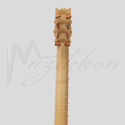 Renaissance Guitar 8 Course Right Hand Variegated Maple Ebony