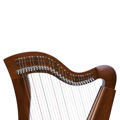 McHugh Harp 29 Strings Rosewood Square Back Aquila Nylon Gut Strings